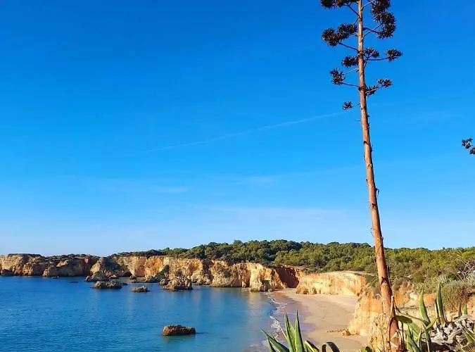 Harmony פורטימאו