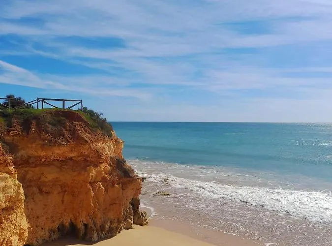 Harmony פורטימאו